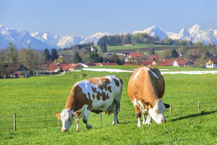 Übung - Nutztierhaltung