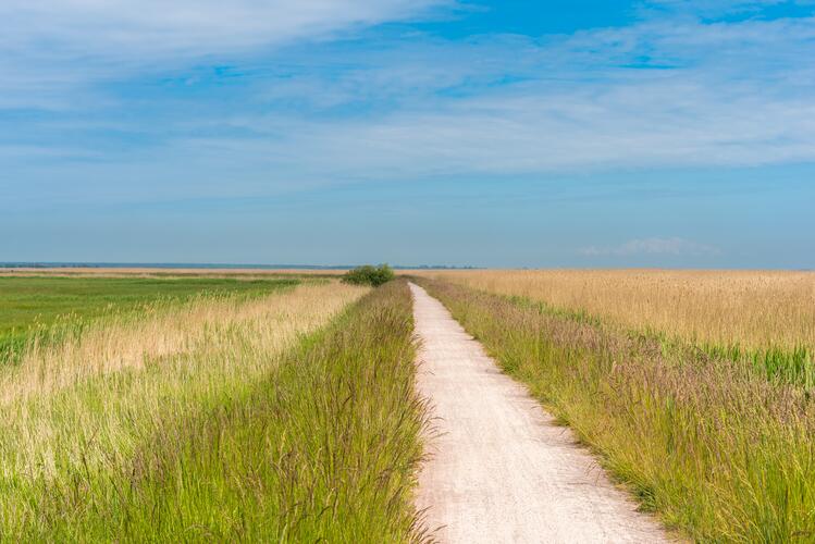 Übung Gemischte Übung (2)