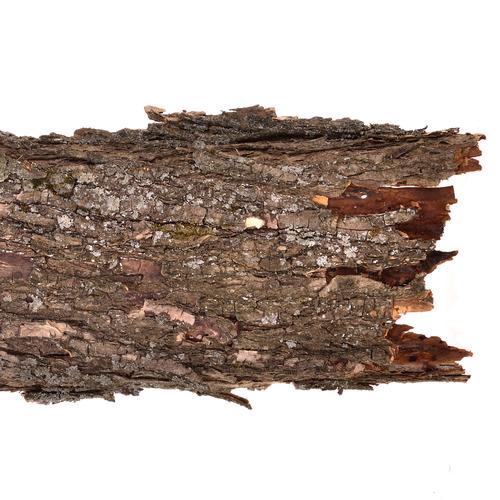 Übung Materialeigenschaften