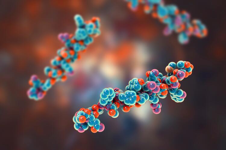 Übung - Was sind Hormone?