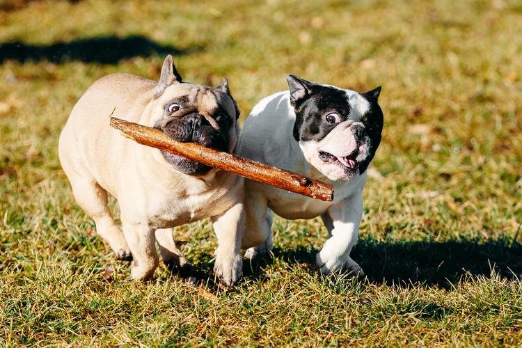 Übung Wörter verlängern