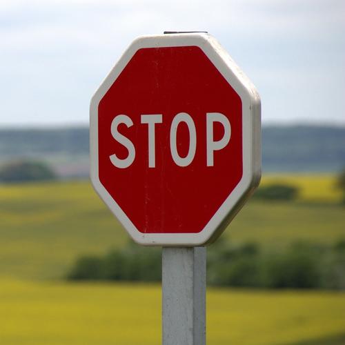 Übung Numerus Singular und Plural