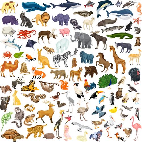 Lesson - Animal or Plant?